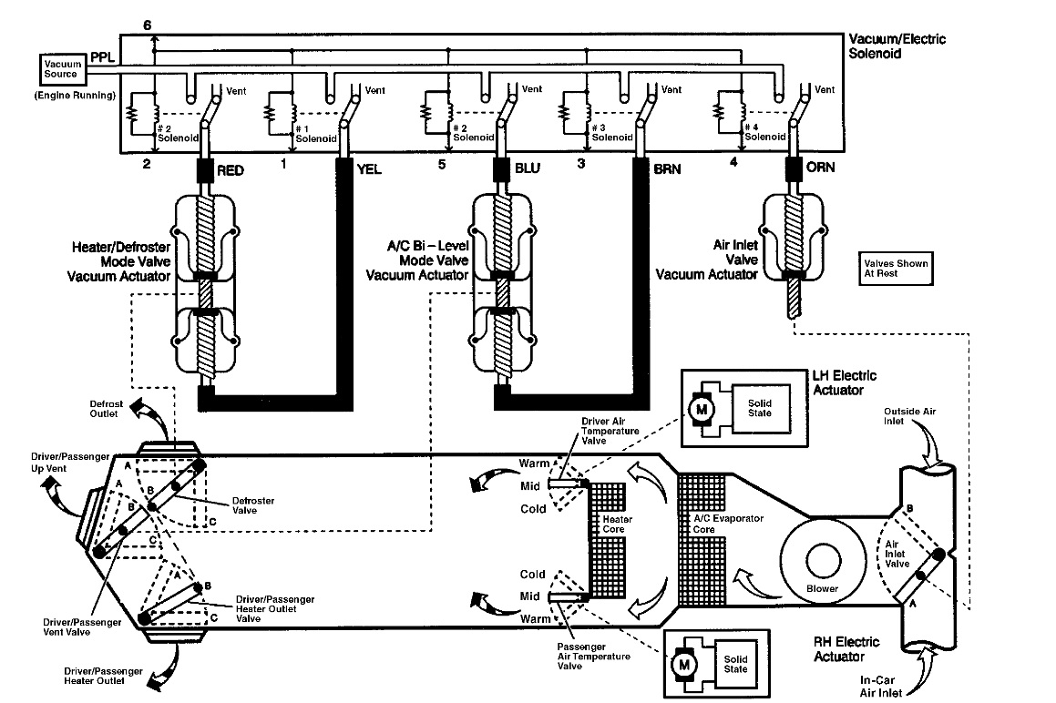 GP GT vacuum.jpg