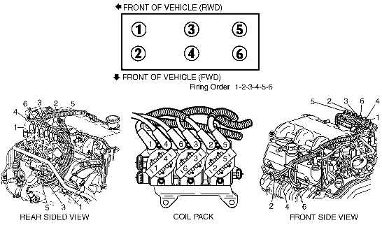 3.4L and 3.1L coils.jpg