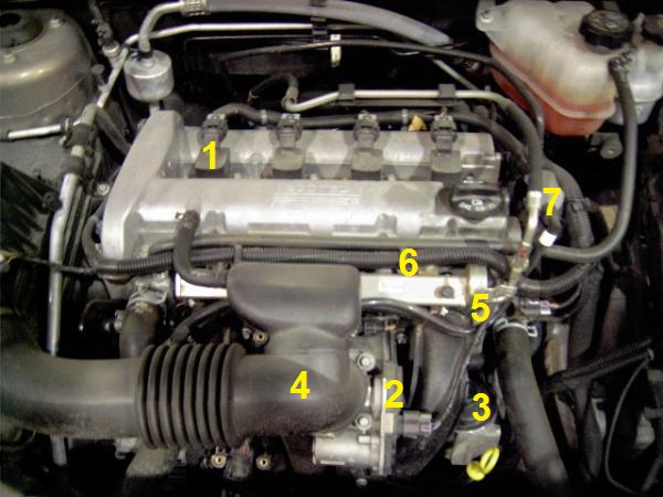 GM 2.2l Ecotec 4 cylinder engine data sensor locations pictures and diagram.